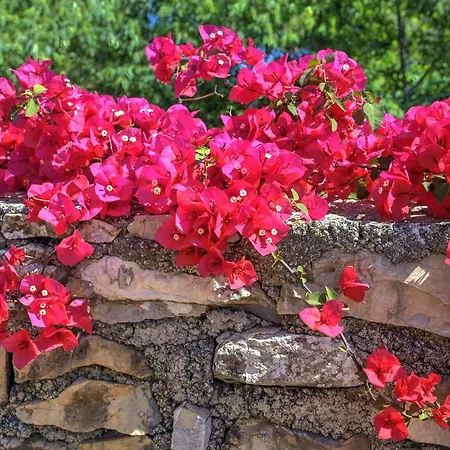 Casa I Fiori Di Andora