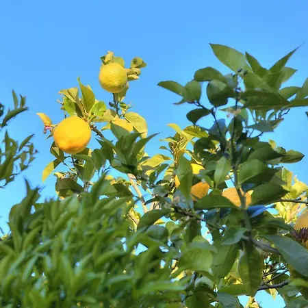 Casa I Fiori Di Apartment Andora